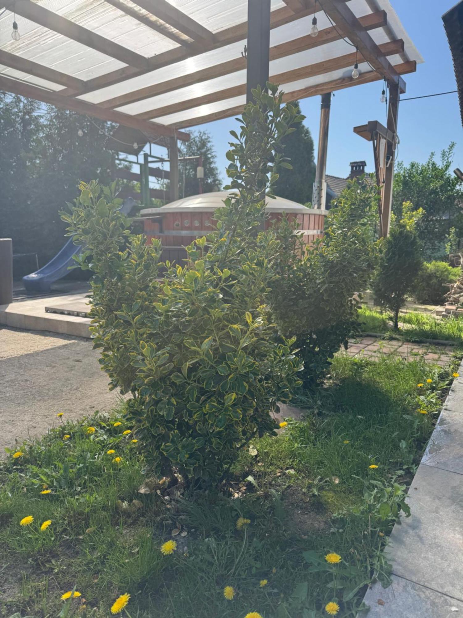 Pensiunea Casa Rica Călimăneşti Exterior foto